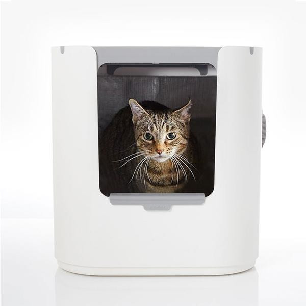 Modkat Bac à litière pour chat Modkat Bac à litière pour chat