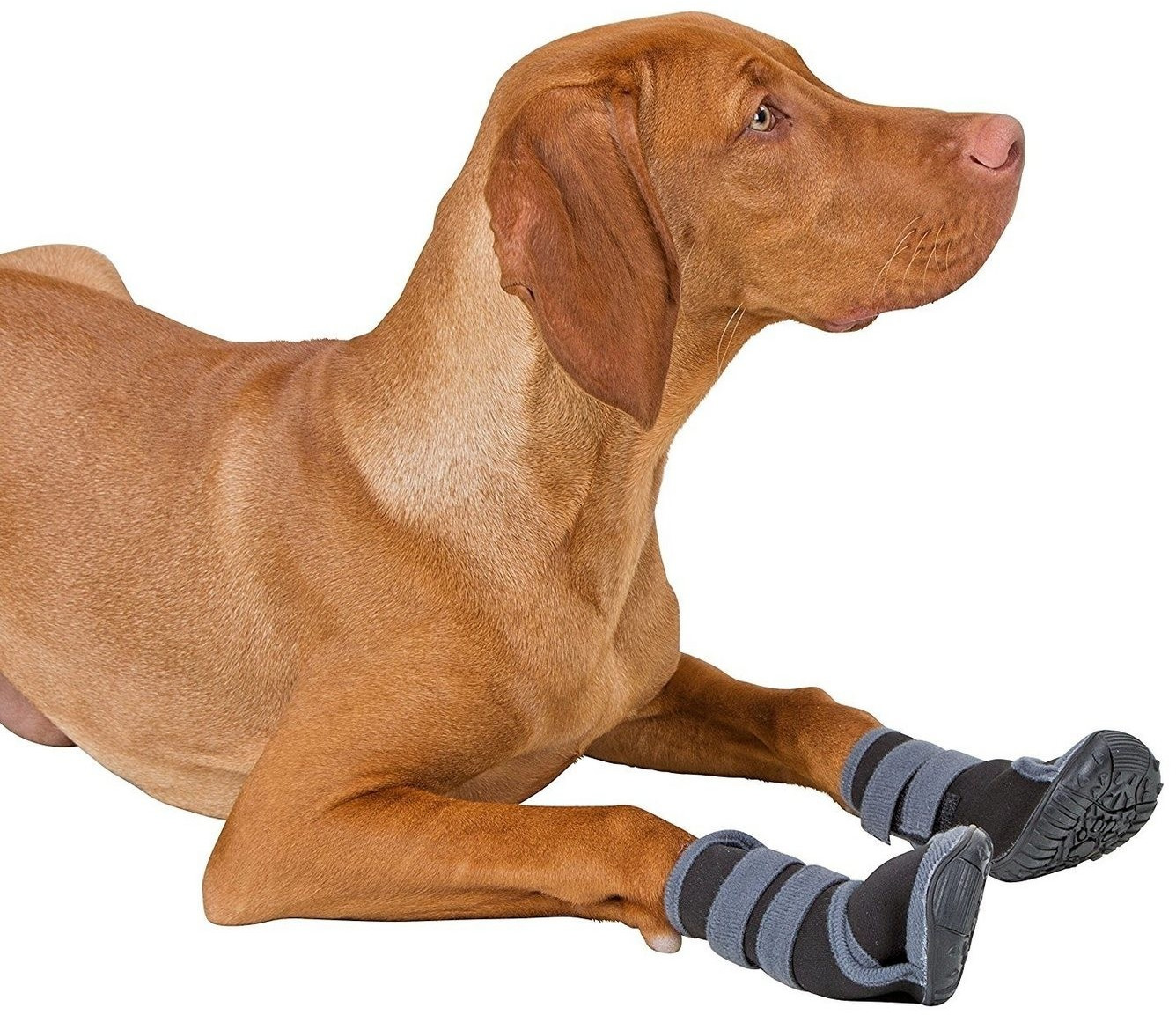 Kerbl Chaussures pour chien XXS Kerbl Chaussures pour chien XXS