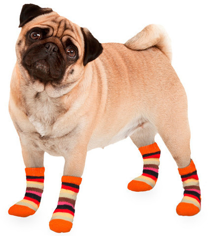 Karlie Striped Dog Socks