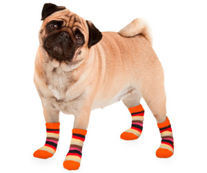Karlie Striped Dog Socks M
