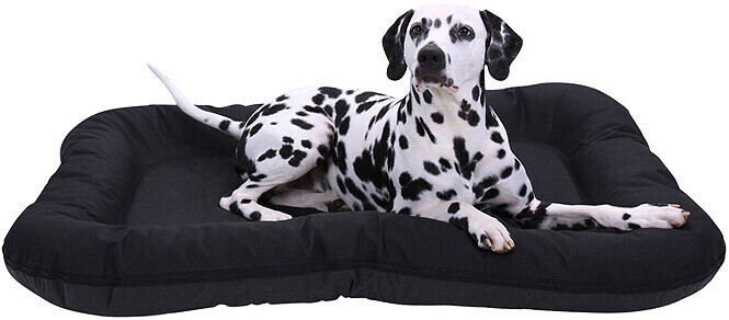 Knuffelwuff Lit pour chien Square XXL Black Knuffelwuff Lit pour chien Square XXL Black