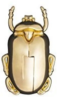 doiy DYINSECCG