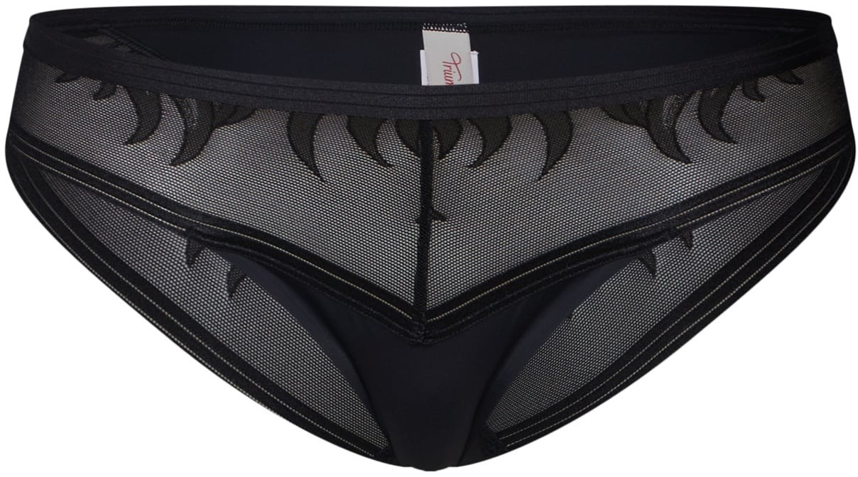 Triumph Palm Spotlight Tai Brief