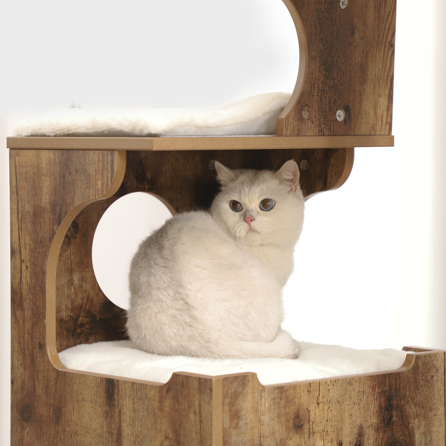 Feandrea Arbre à chat PCT70HW