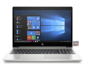 HP ProBook 455 G6 (8VV22ES)