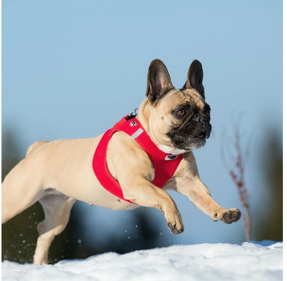 Curli Harnais pour chien Red 3XS Curli Harnais pour chien Red 3XS