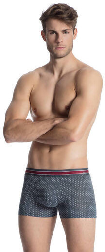Calida Boxer Shorts (25180) ombre