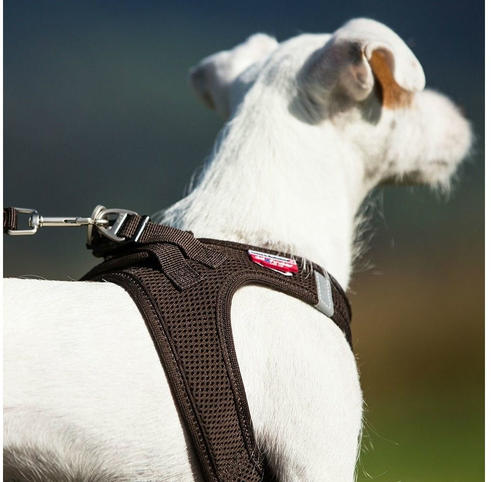 Curli Harnais pour chien Vest Harness Air-Mesh 3XS Brown