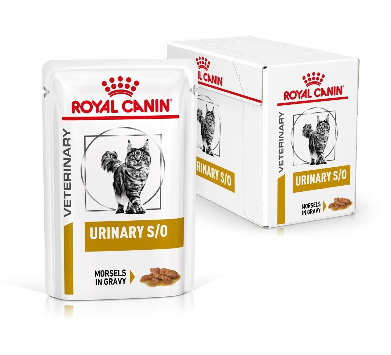 Royal canin so feline canned on sale