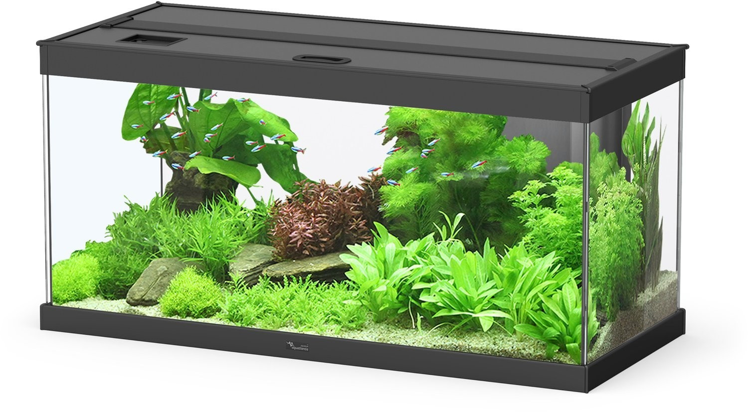 Aquatlantis Style 80 LED 2.0 Black