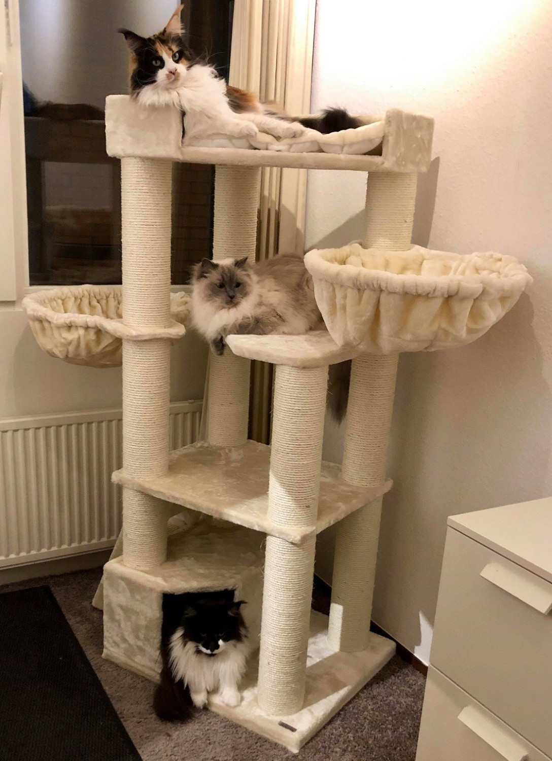 RHRQuality Cat Tree Corner Coon Cream