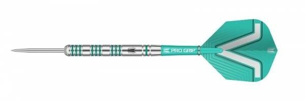 Target Sports Rob Cross 80% Steel Tip 24 g