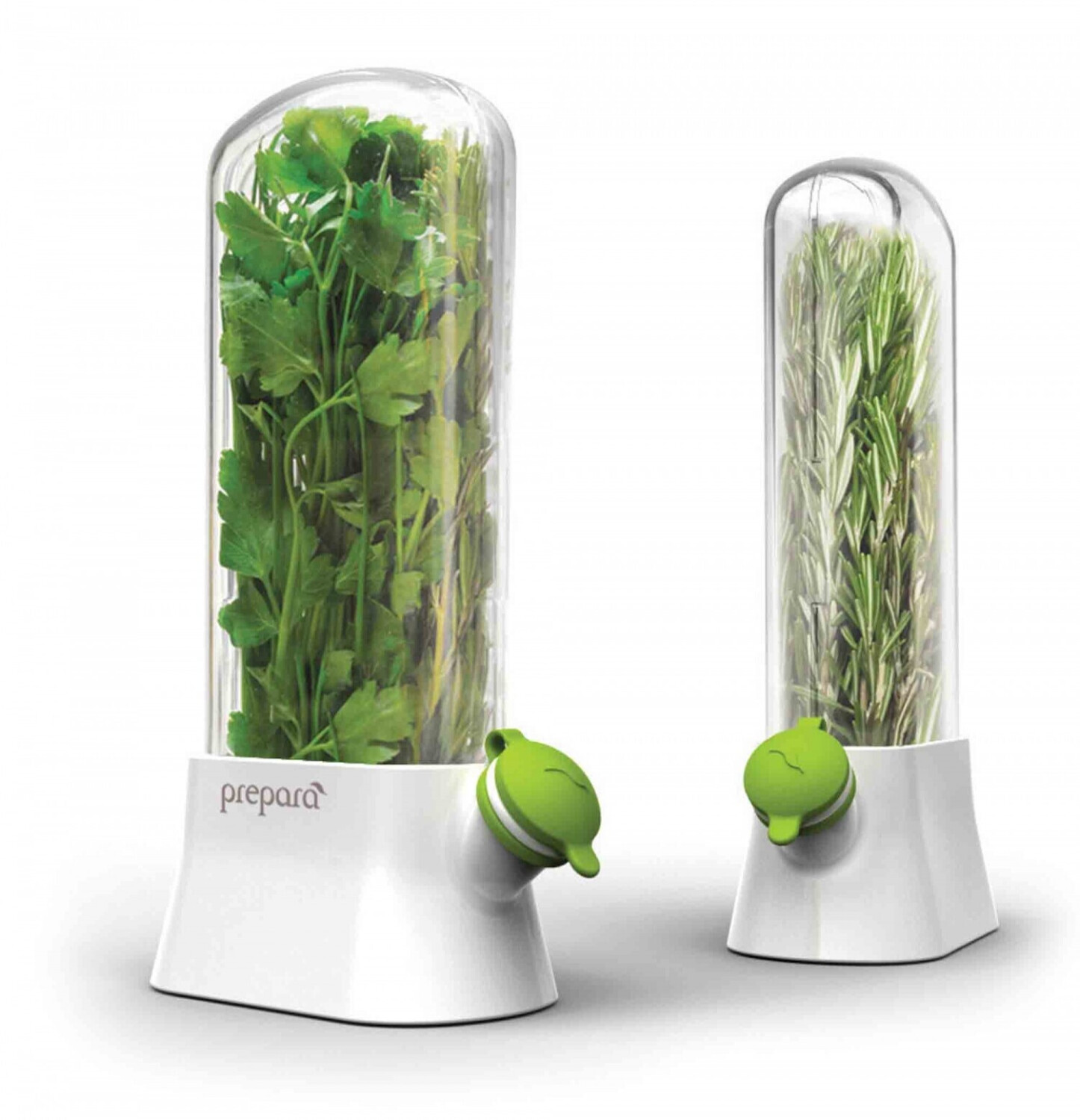 CoolStuff Herb savor herb garden