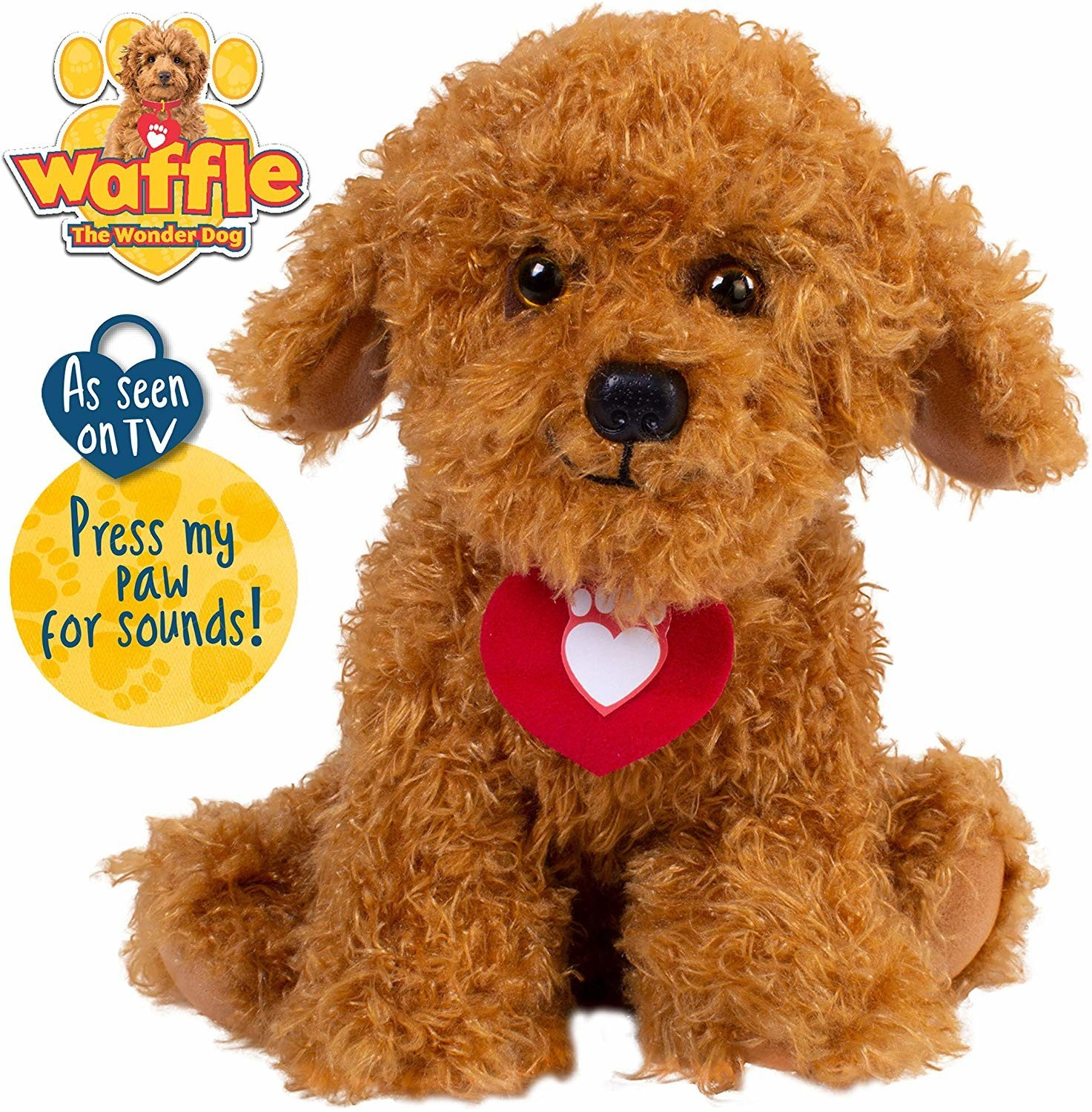 Golden Bear Waffle The Wonder Dog