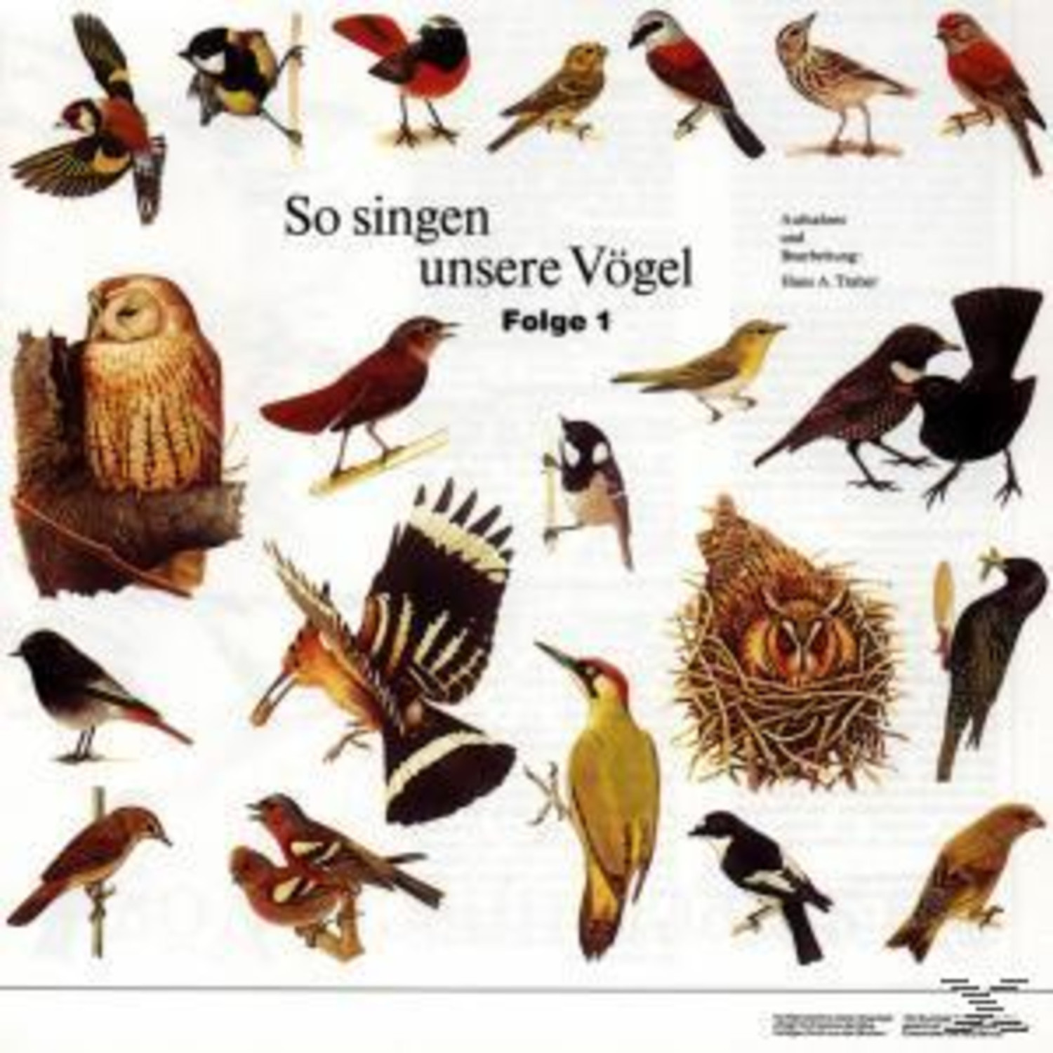 Vogelstimmen - So singen unsere Vögel 1 (CD)