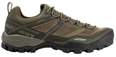 Mammut Ducan GTX Low