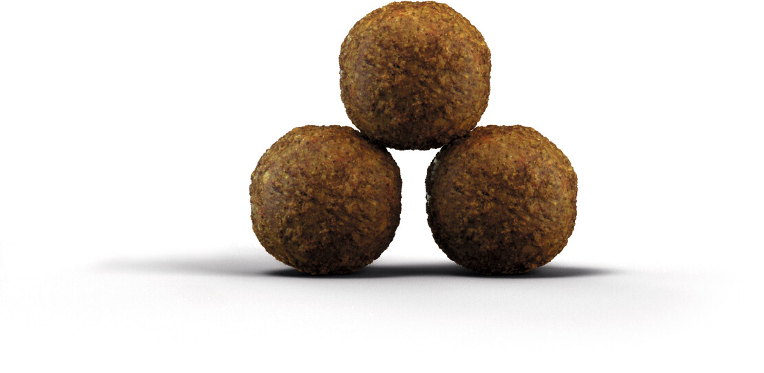 Josera Croquettes pour chat 2kg Josera Croquettes pour chat 2kg