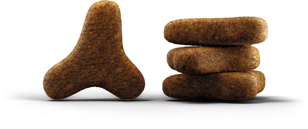 Josera Croquettes pour chat 10kg Josera Croquettes pour chat 10kg