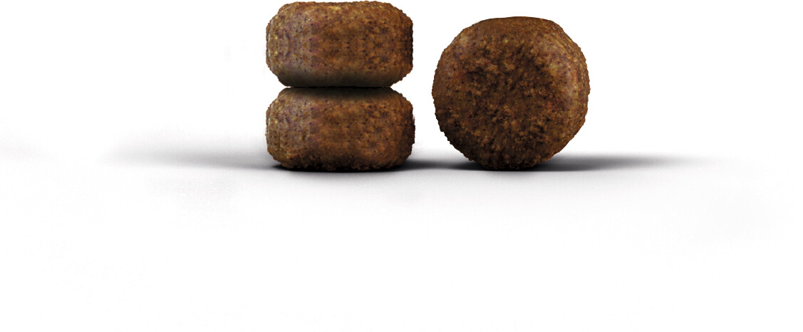 Josera Croquettes pour chat 10kg