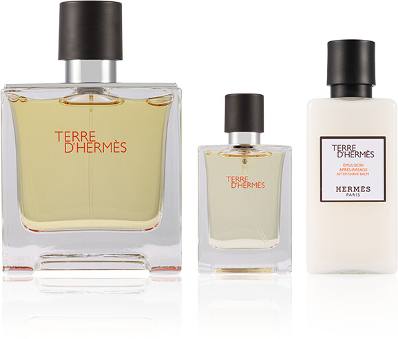 Hermès Terre d'Hermes Set (EdP 75ml + 12,5ml + AS 40ml)