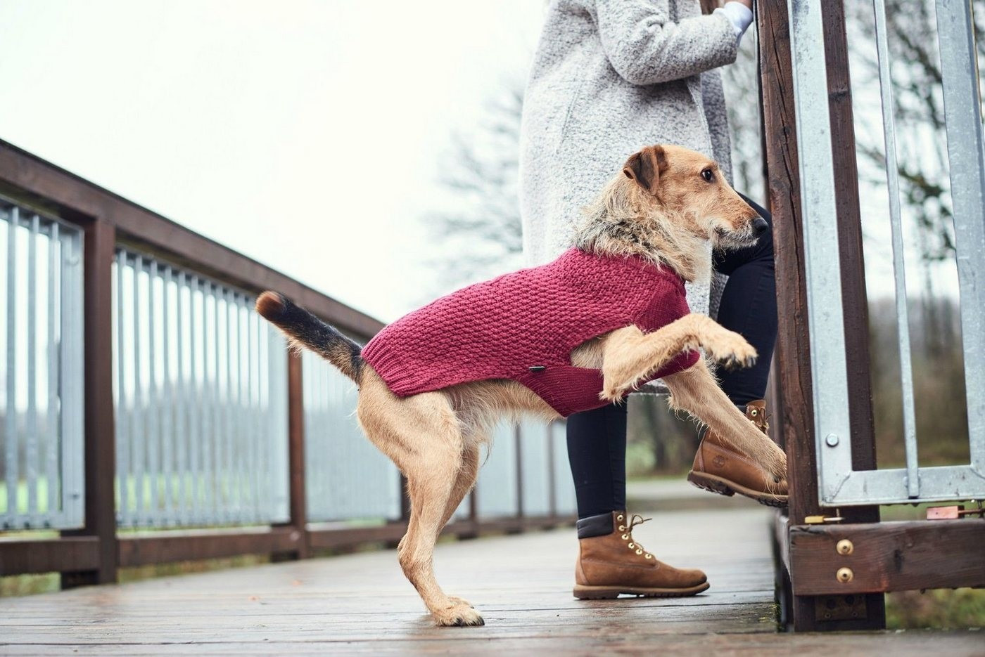 HUNTER Pull pour chien Malmö bordeaux 45cm