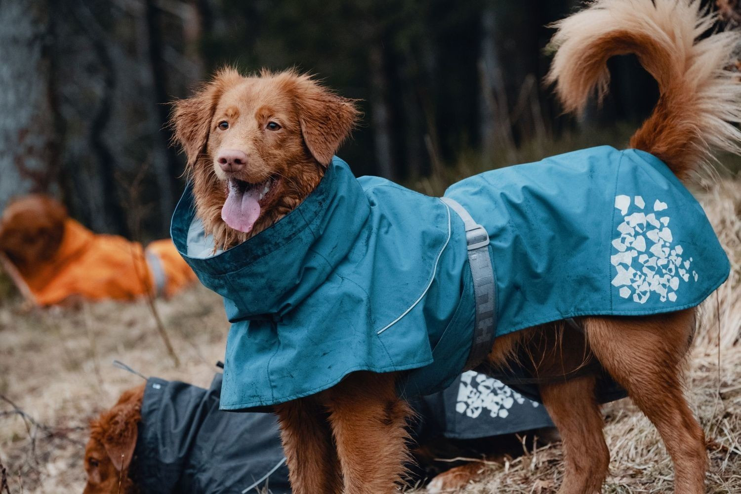 Hurtta Imperméable pour chien Blue 40cm Hurtta Imperméable pour chien Blue 40cm