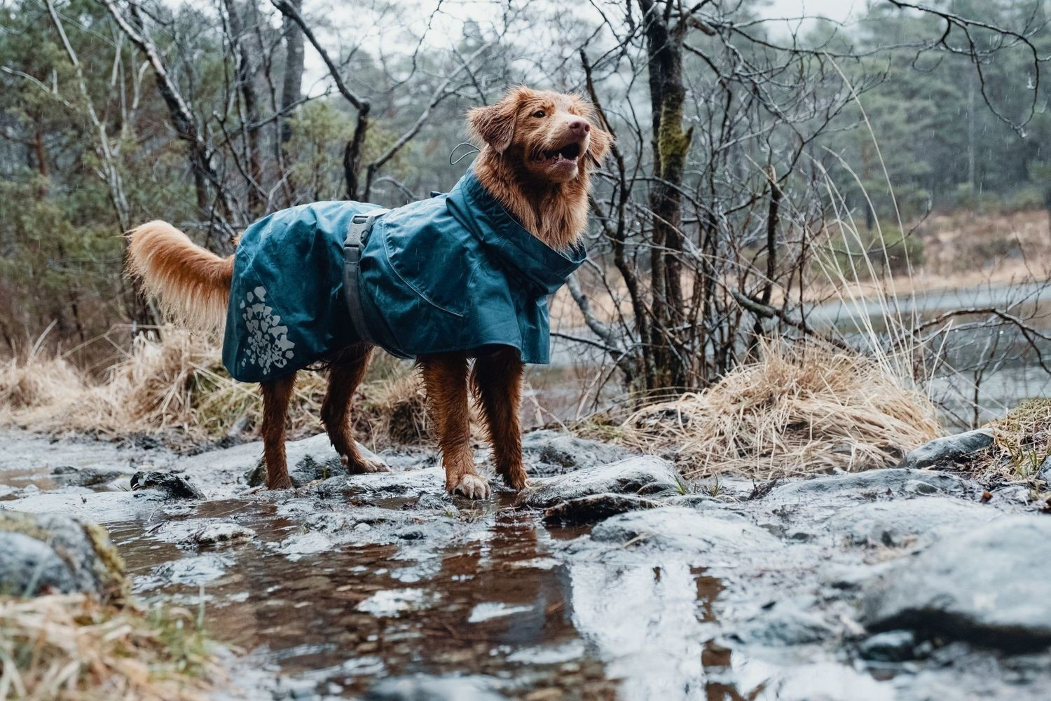 Hurtta Imperméable pour chien Blue 40cm Hurtta Imperméable pour chien Blue 40cm