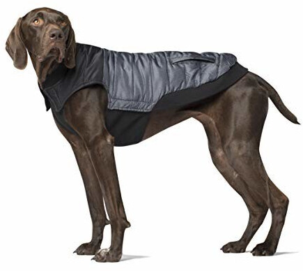 Canada Pooch Summit Stretch Vest