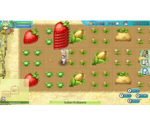 Switch rune factory 4 deals