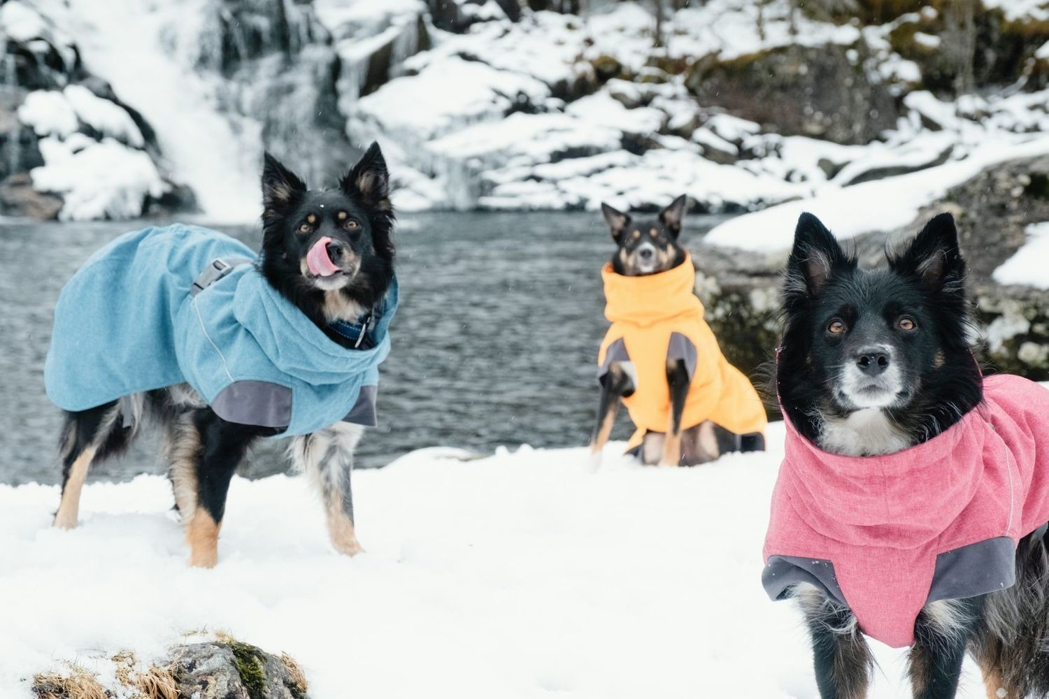 Hurtta expedition sale parka uk