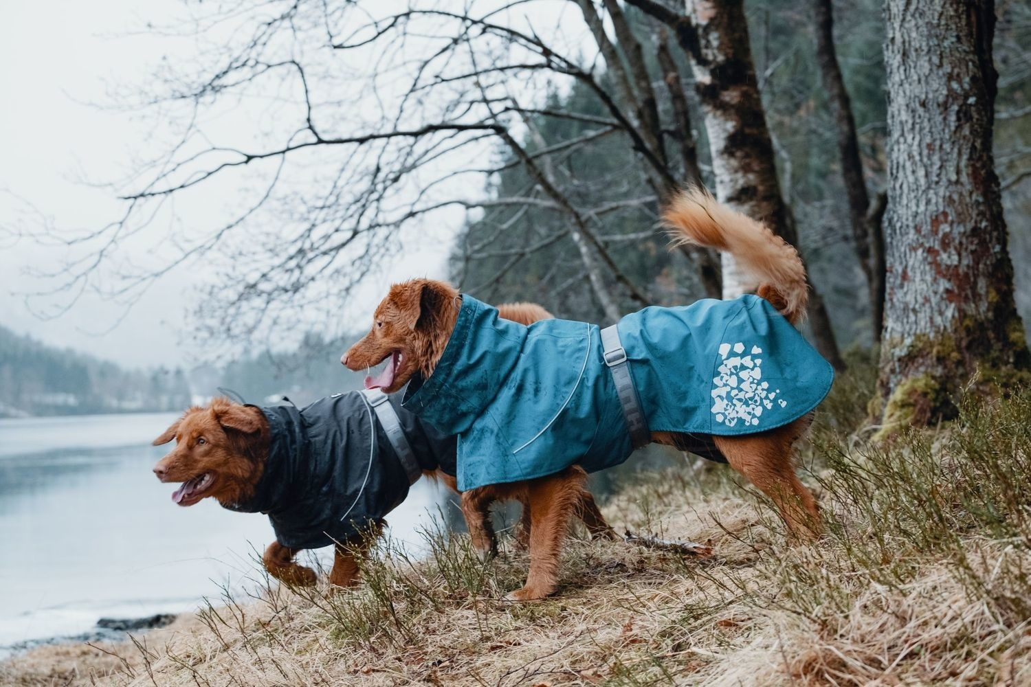 Hurtta Imperméable pour chien 55cm Dark Grey Hurtta Imperméable pour chien 55cm Dark Grey