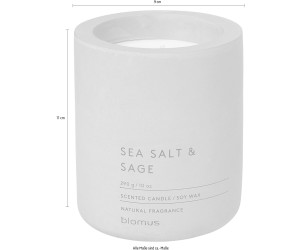 | & Sage Preisvergleich ab Salt Sea 10,45 FRAGA bei Blomus €