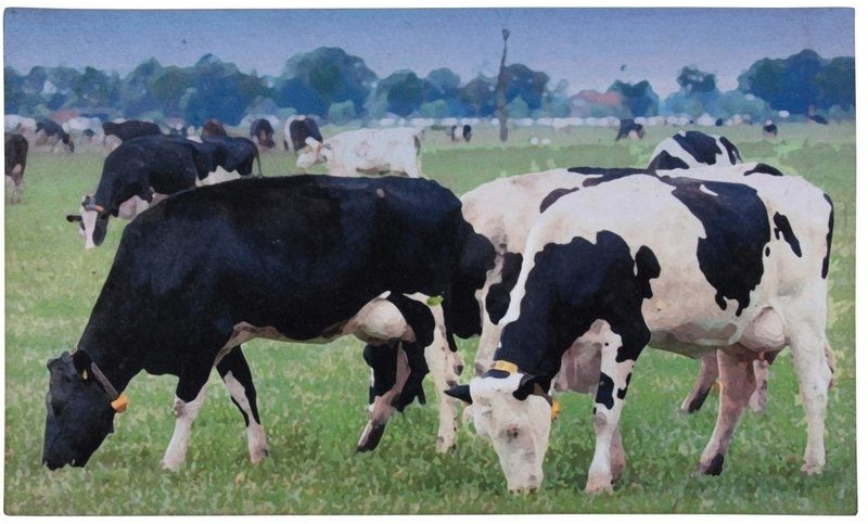 Esschert Paillasson imprimé vaches