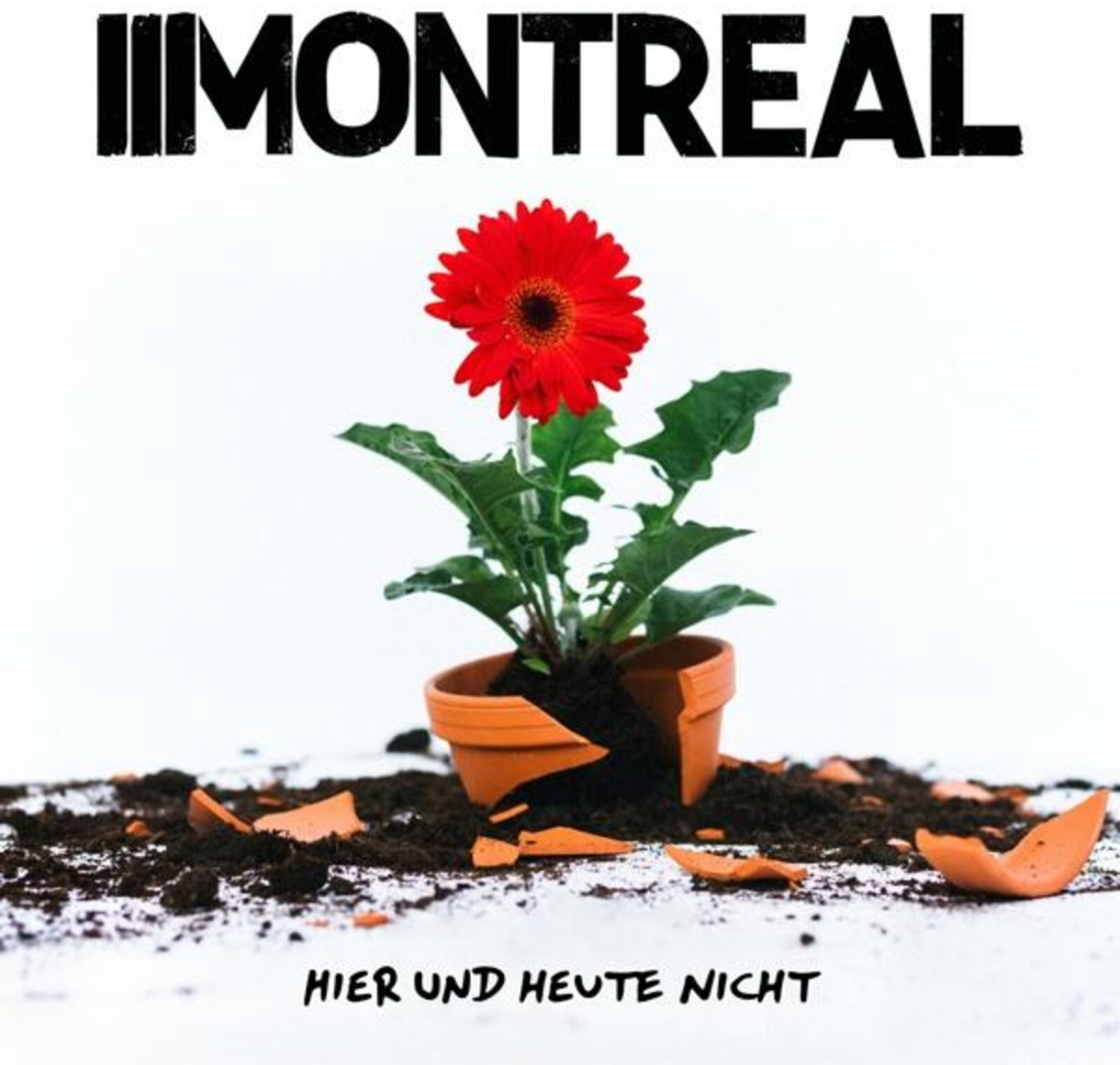Montreal - Hier Und Heute Nicht (Ltd.Orange) (Vinyl)