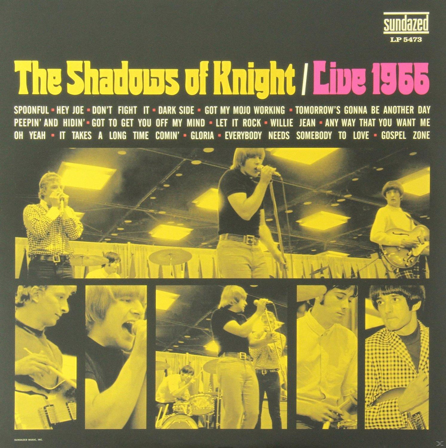 Shadows of Knight - Live 1966 (180g) (Vinyl)