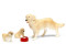 Lundby Doll's house dog family