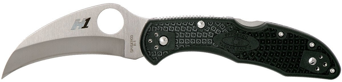 Spyderco Tasman Salt 2 (black)