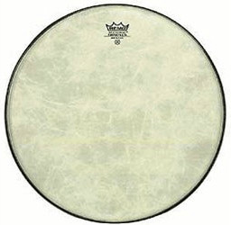 REMO Coated Ambassador 12