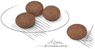 Royal Canin Croquettes pour chien 1kg Royal Canin Croquettes pour chien 1kg