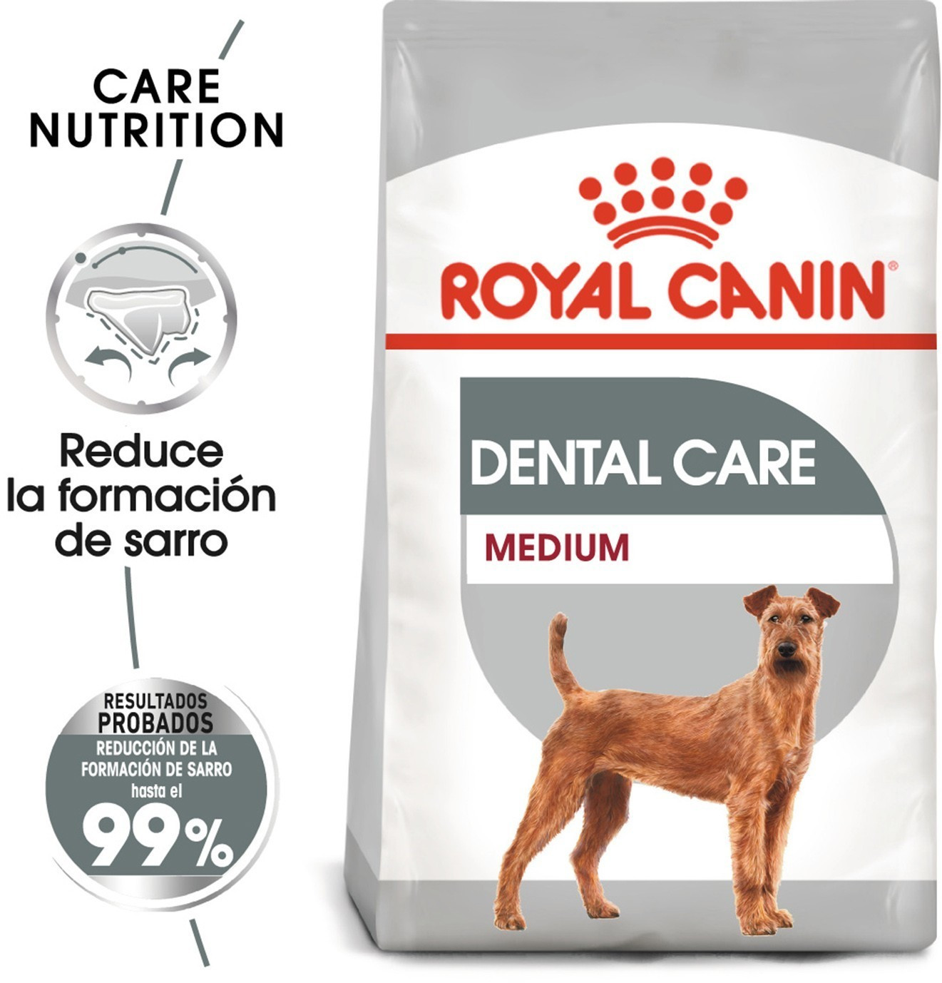 Royal Canin Medium Dental Care (10 kg)