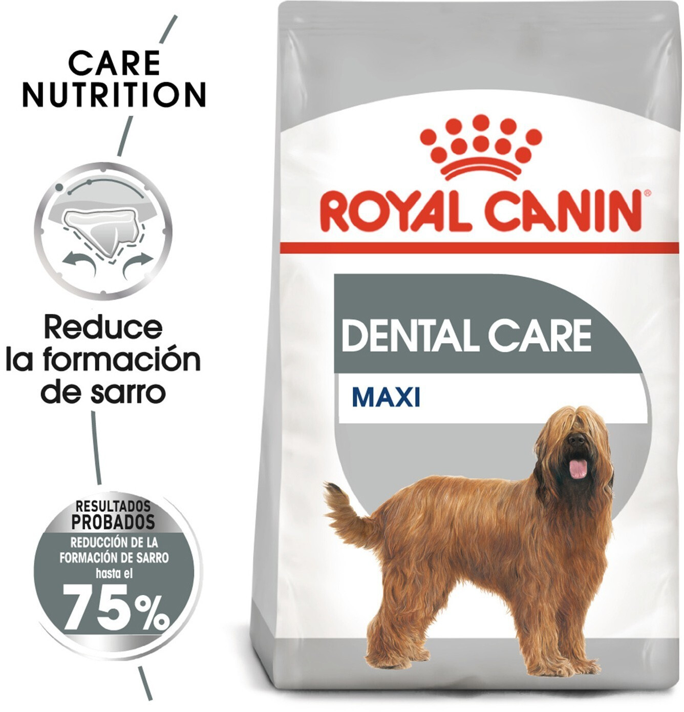 Royal Canin Croquettes pour chien 9kg Royal Canin Croquettes pour chien 9kg