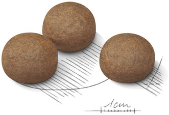Royal Canin Croquettes pour chien 10 kg