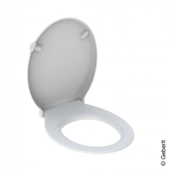 Geberit Toilet Seat (500679011)
