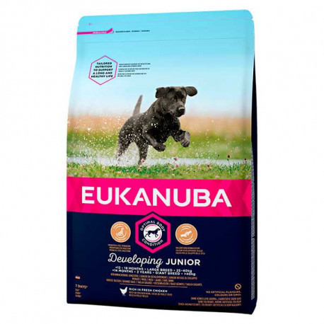 Eukanuba Active Adult Large Breed Chicken 12kg