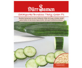 Gurkensamen Salatgurke Tanja von D/ürr-Samen
