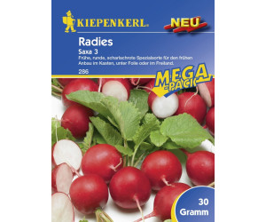 Kiepenkerl Radieschen Samen ‚Sora‘ – Schnell Wachsend, Leuchtend Rot, Für Beet & Topf