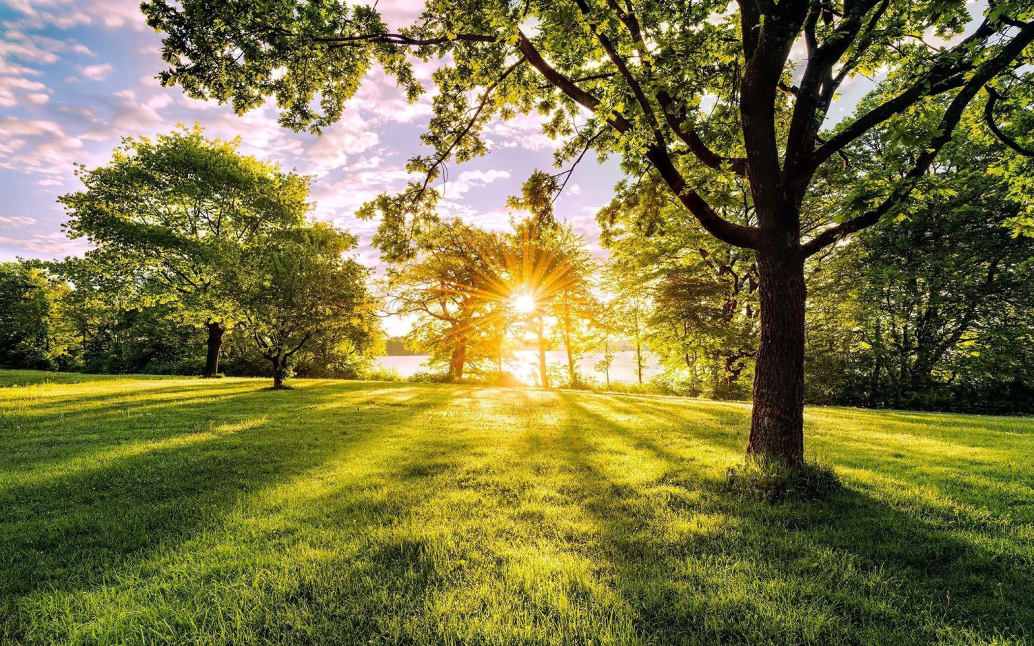 Komar Pure Golden Moment 400 x 250 cm