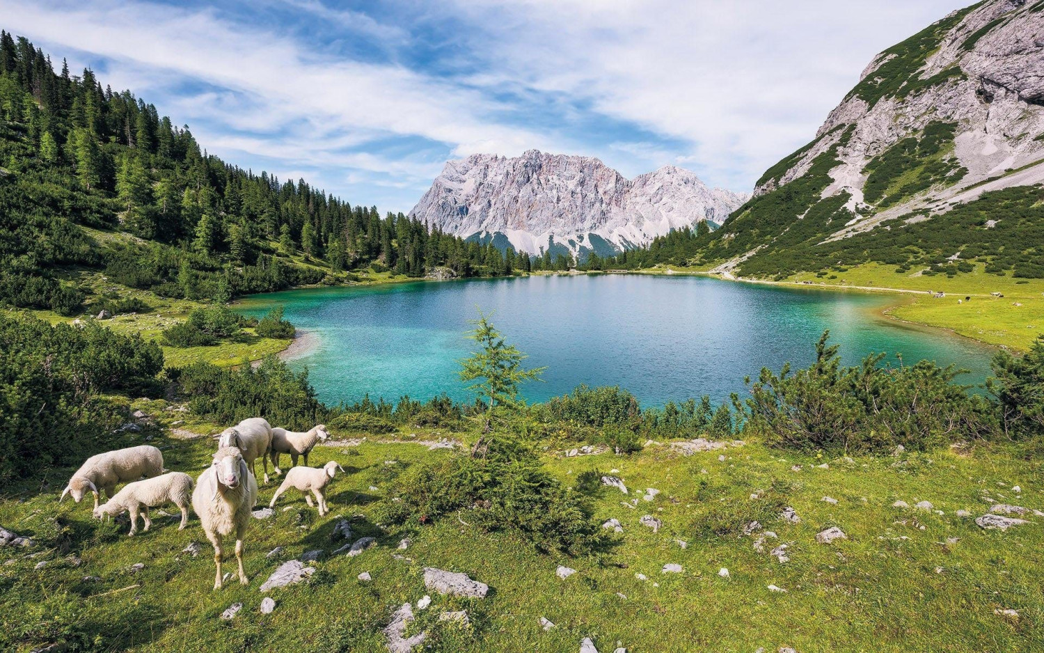 Komar Paradise Lake 400 x 250 cm