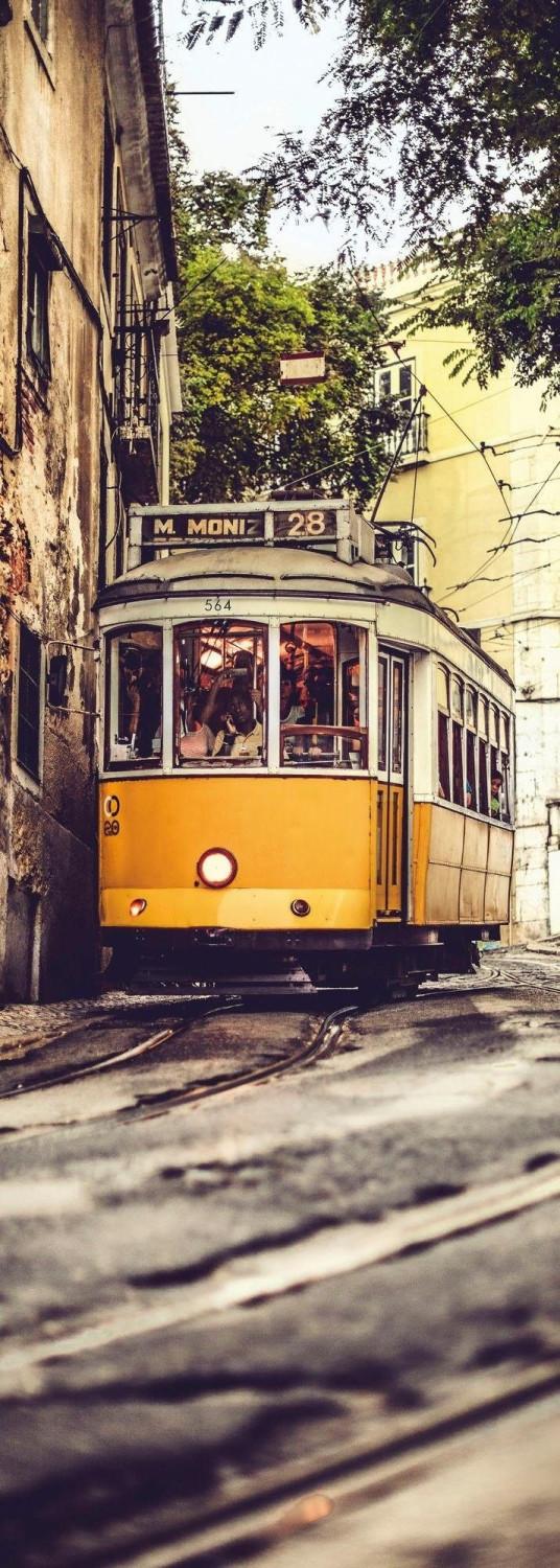 Komar Lissabon 100 x 280 cm