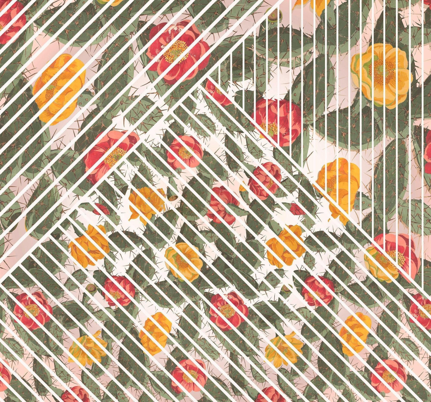Komar Cactus 300 x 280 cm
